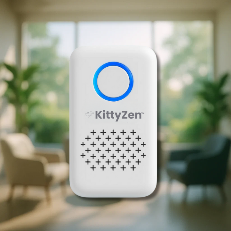 KittyZen FR