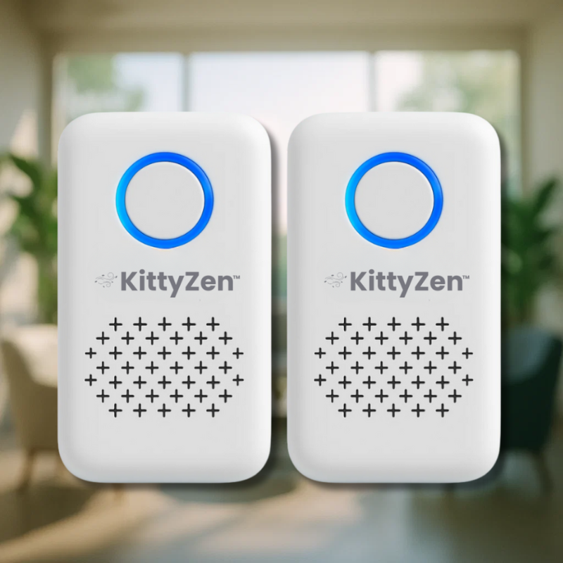 KittyZen FR