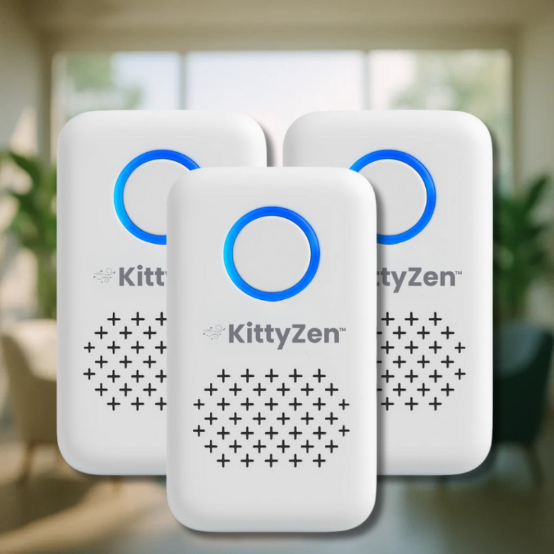 KittyZen FR